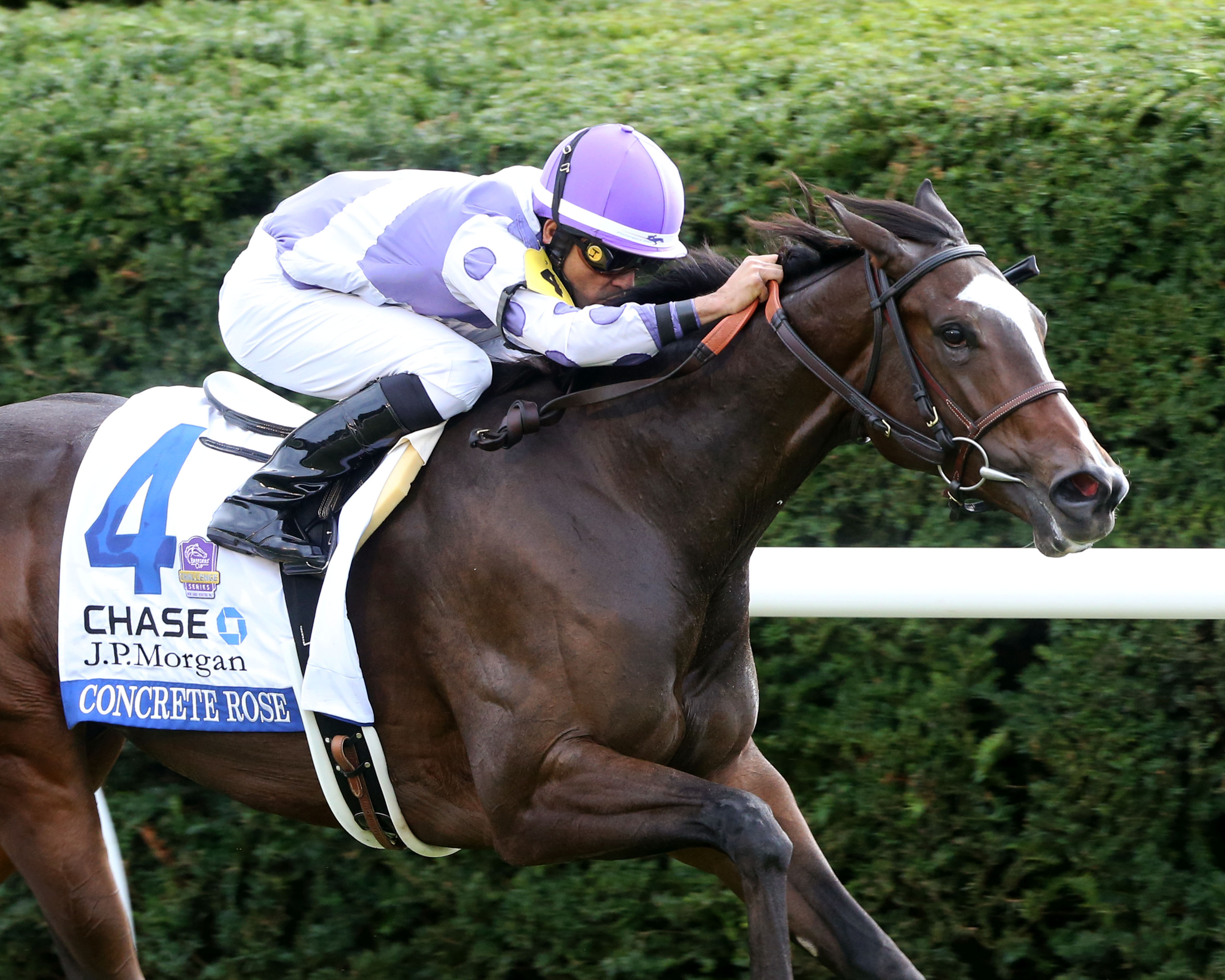 Concrete Rose Earns Breeders’ Cup Berth with JPMorgan Chase Jessamine